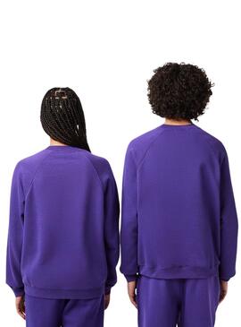 Sudadera Lacoste Club Morado Para Hombre Mujer