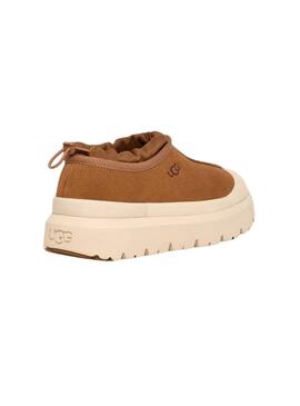 Zapatillas UGG Australia Tasman Weather Hybrid Camel hombre