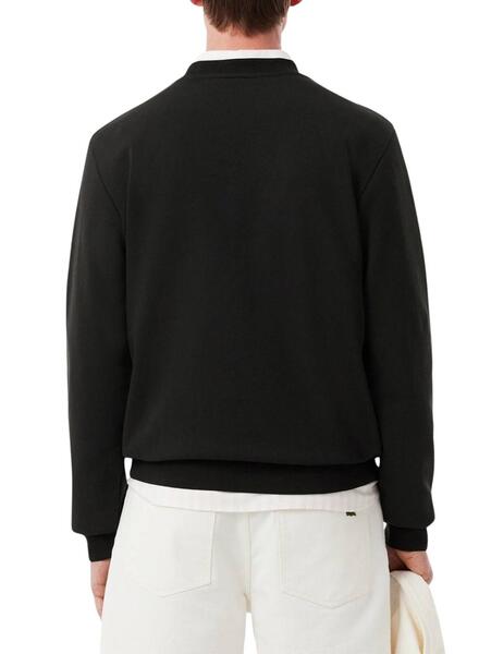 Gallery m172348 n2eu0q9a