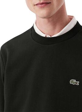 Sudadera Lacoste negro logo para hombre