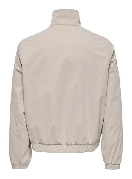 Gallery m170221 6ltsvfau