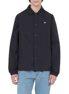 Thumb m172150 dmzvtd0c