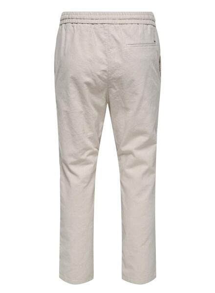 Gallery m170253 ho03zhtb