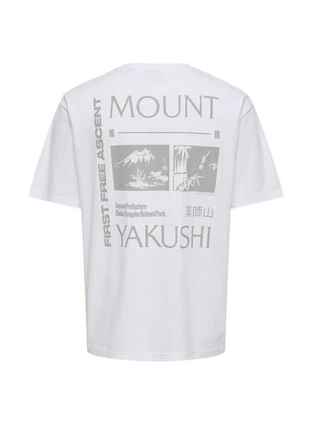 Gallery m170245 csgbwk8j