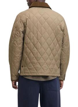 Cazadora Jack and Jones Blubryan beige para hombre