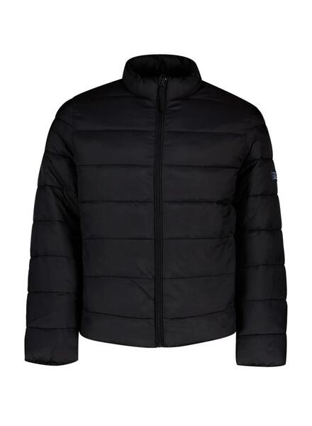 Gallery m173465 kncgw51j