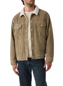 Thumb m175193 wnmabixq