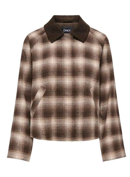 Gallery m179604 l3nzjtgz