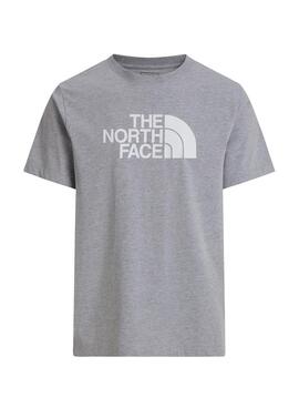 Camiseta The North Face Evo gris para hombre