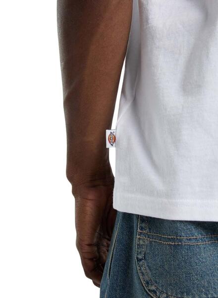 Gallery m179663 llywbesc