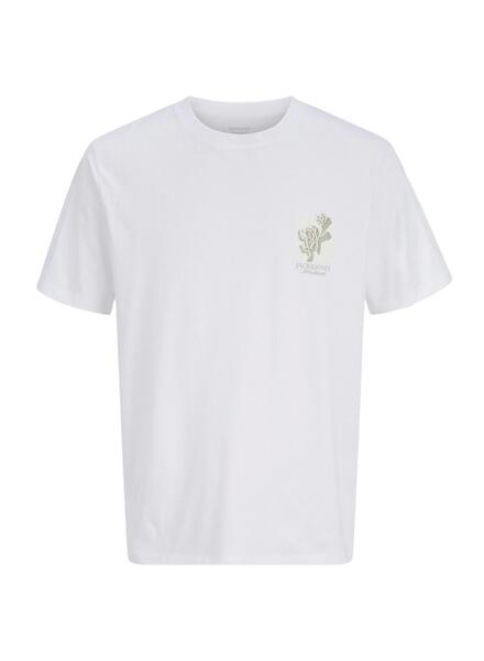 Gallery k179476 onywbrvr