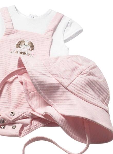 Gallery k179156 e9czrasj